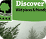 Spring 2013 Newsletter